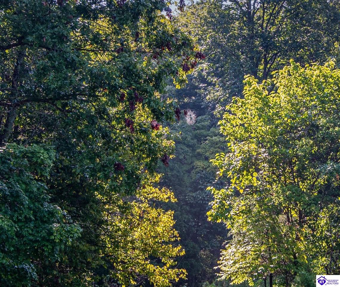 Listing Picture 1573 Mook Centerview Road Hudson, KY 40145 MLS HK25003458