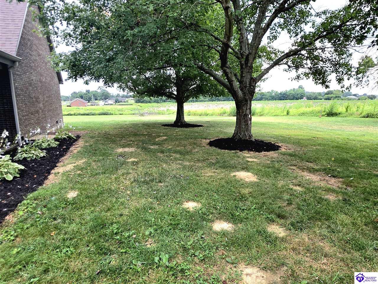 Listing Picture 315 Bethlehem Academy Road Cecilia, KY 42724 MLS HK25003489