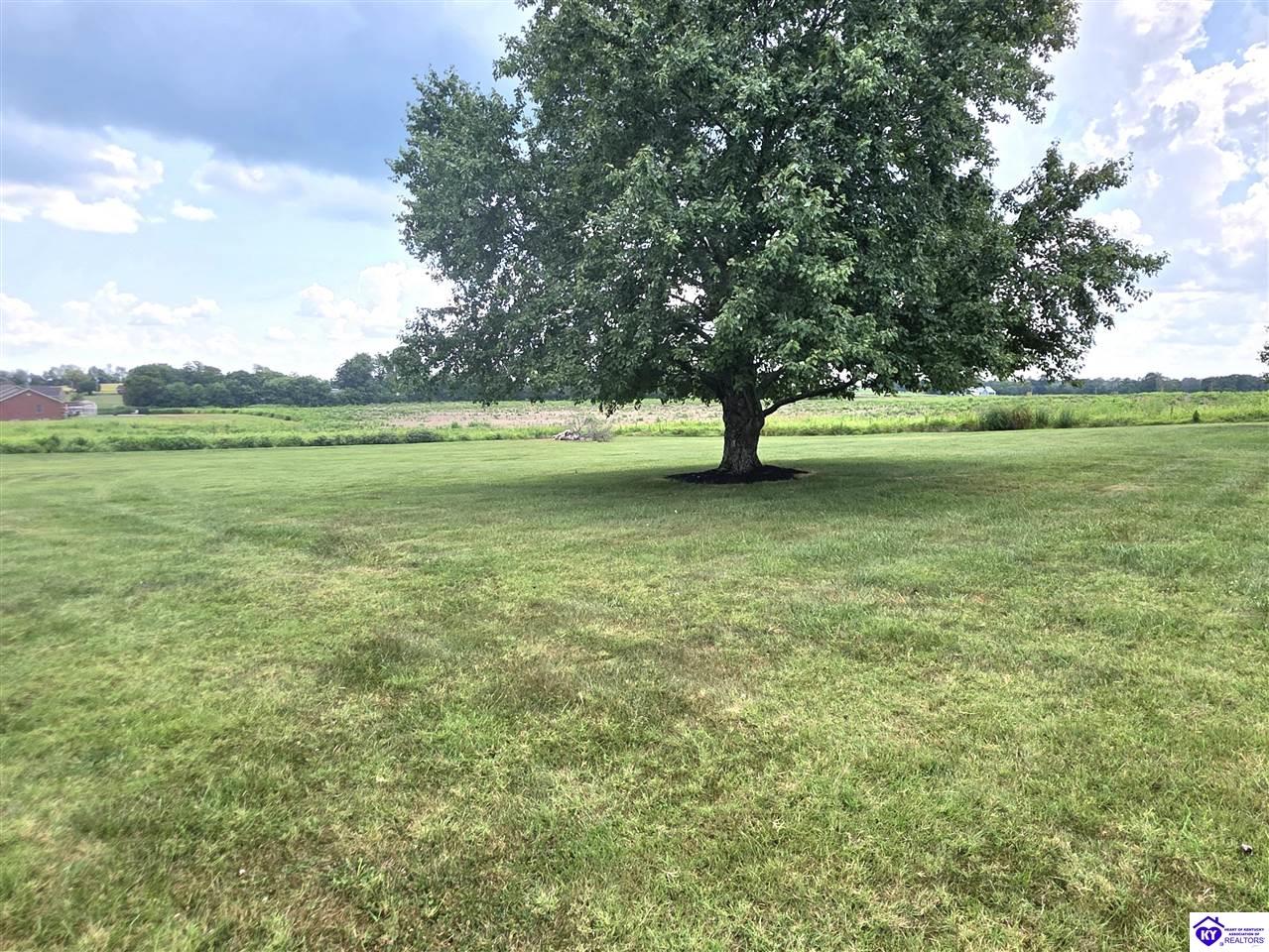 Listing Picture 315 Bethlehem Academy Road Cecilia, KY 42724 MLS HK25003489
