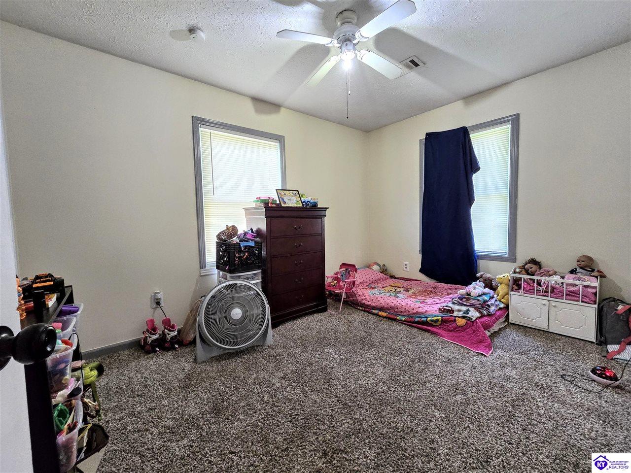 Listing Picture 136 Anna Drive Rineyville, KY 40162 MLS HK25003491