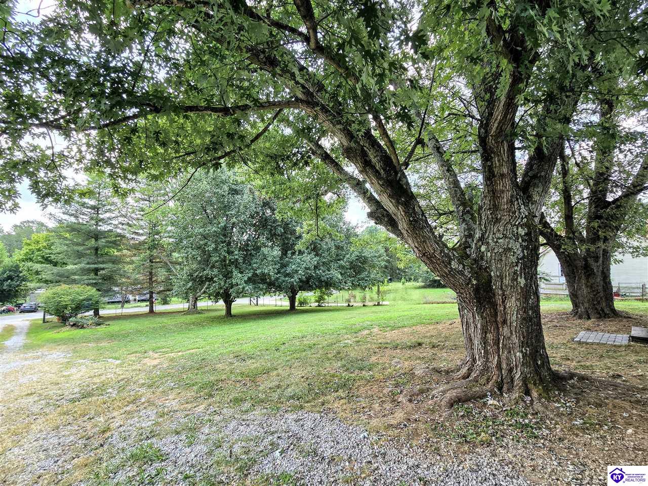 Listing Picture 136 Anna Drive Rineyville, KY 40162 MLS HK25003491