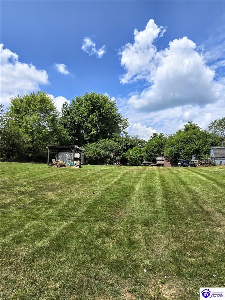 Listing Picture 136 Anna Drive Rineyville, KY 40162 MLS HK25003491