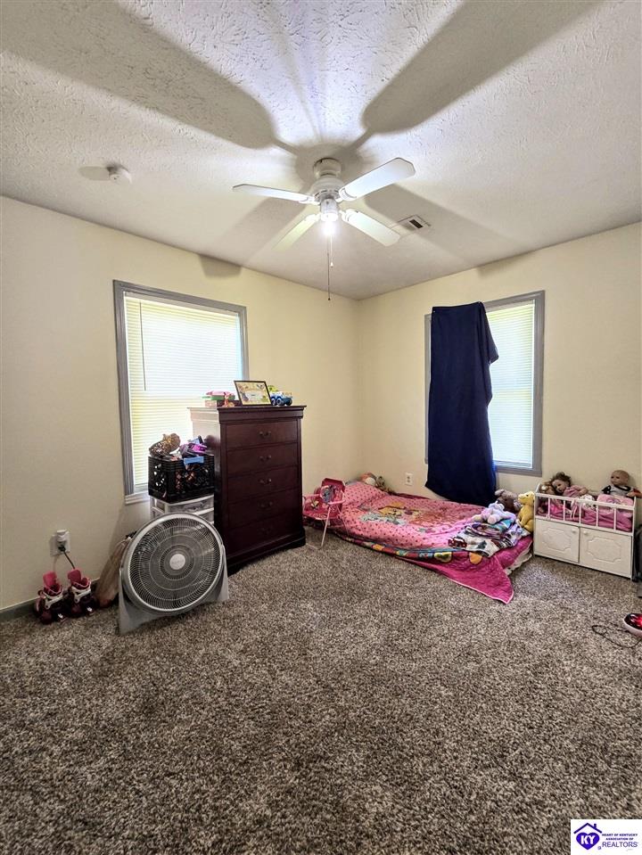 Listing Picture 136 Anna Drive Rineyville, KY 40162 MLS HK25003491