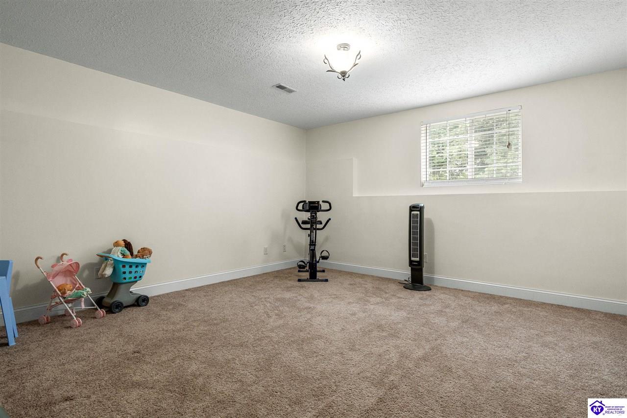 Listing Picture 41 Black Ravens Court Elizabethtown, KY 42701 MLS HK25003642