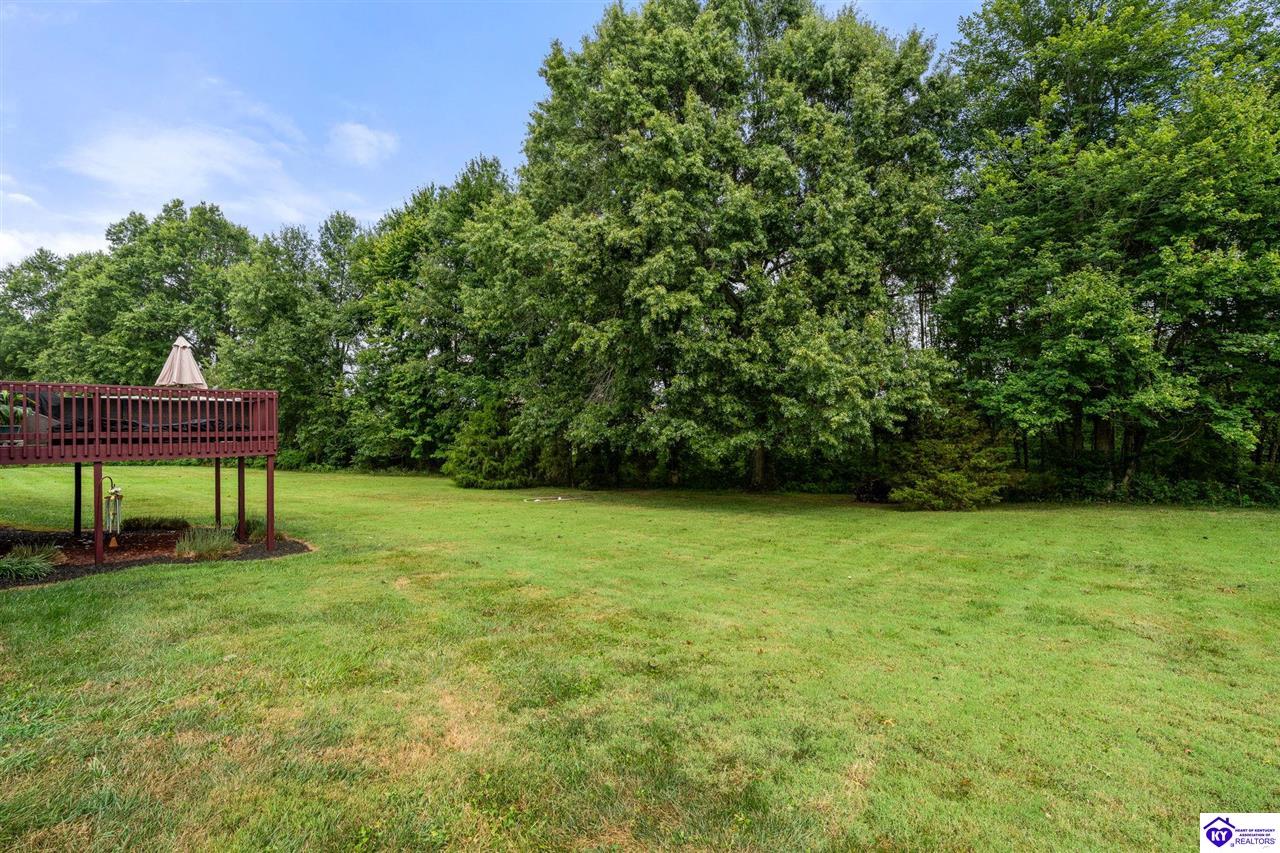 Listing Picture 41 Black Ravens Court Elizabethtown, KY 42701 MLS HK25003642