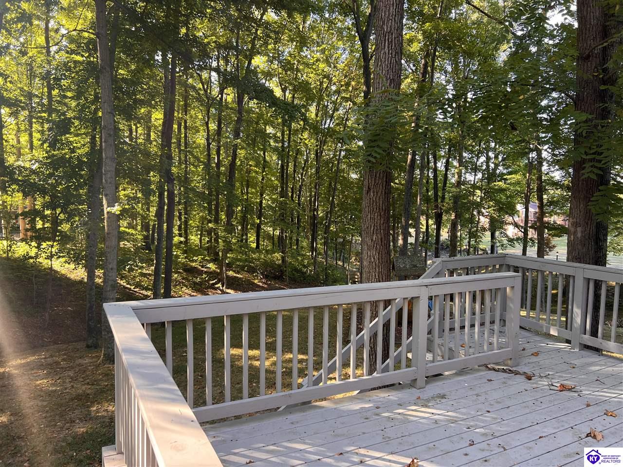 Listing Picture 306 Wildflower Drive Campbellsville, KY 42718 MLS HK25003656