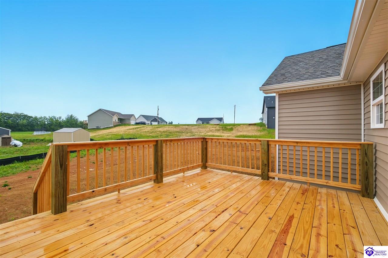Listing Picture 37 Gene Ln Ekron, KY 40117 MLS HK25003666