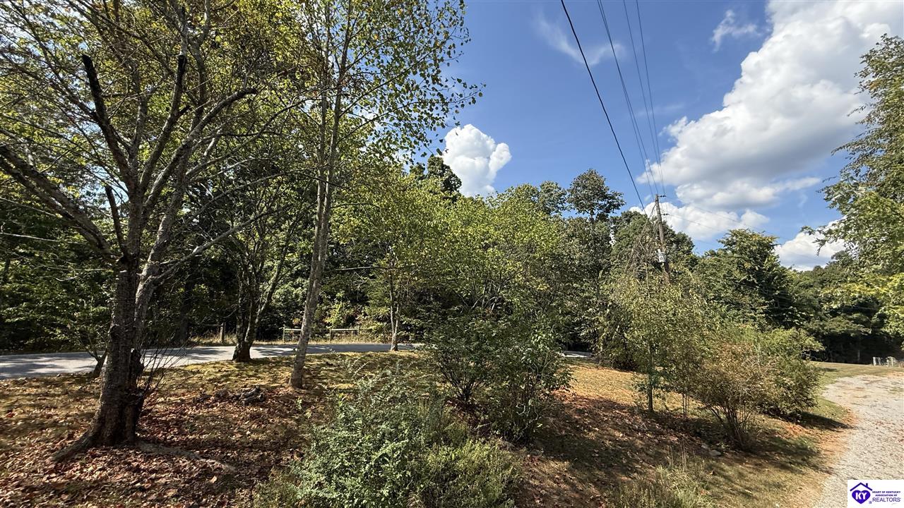 Listing Picture 2659 Fry Ridge Road Greensburg, KY 42743 MLS HK25003719