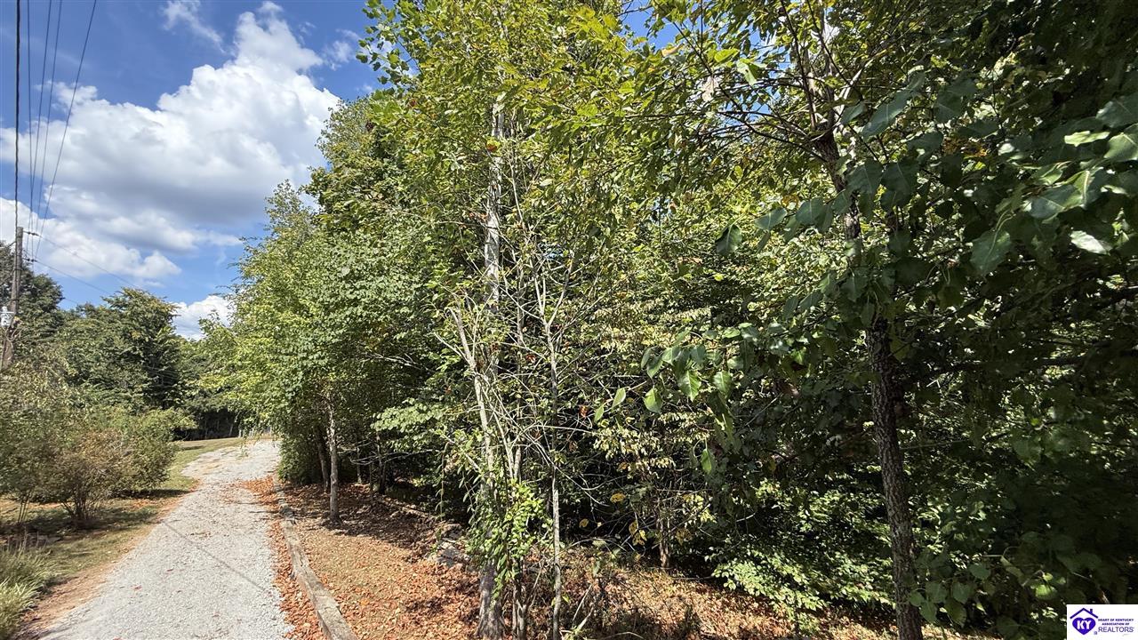 Listing Picture 2659 Fry Ridge Road Greensburg, KY 42743 MLS HK25003719