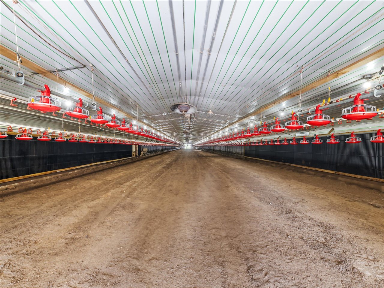 1644 Little Clifty Road