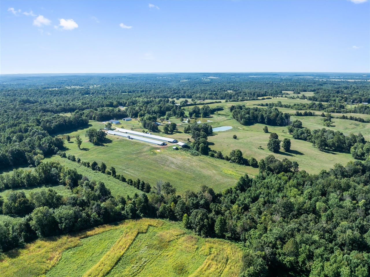 1644 Little Clifty Road