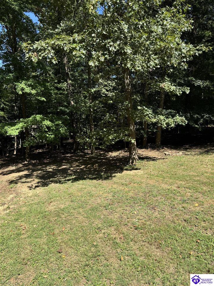 Listing Picture 120 Woods Court Elizabethtown, KY 42701 MLS HK25003850