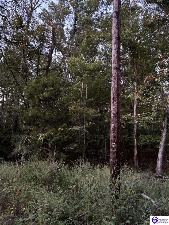 Rock Creek Road Leitchfield, KY 42754 #1