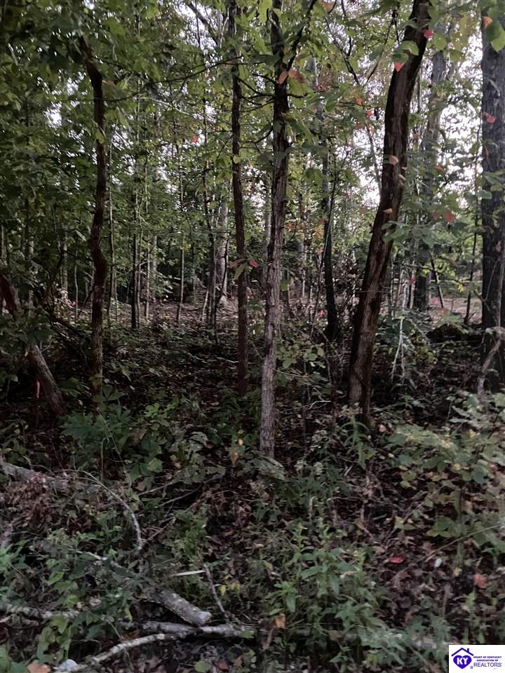 Rock Creek Road Leitchfield, KY 42754 #3