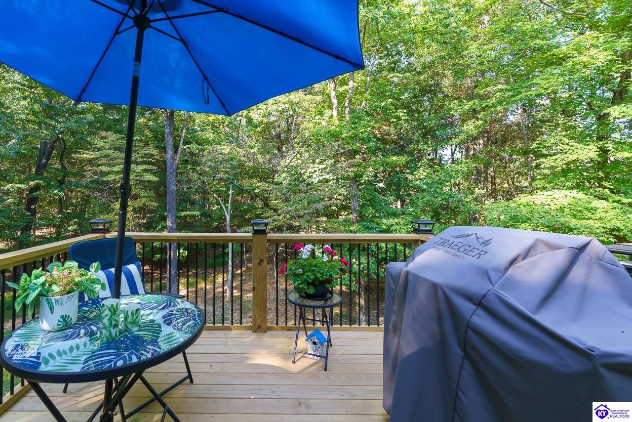 Listing Picture 34 Blackberry Court Brandenburg, KY 40108 MLS HK25004031