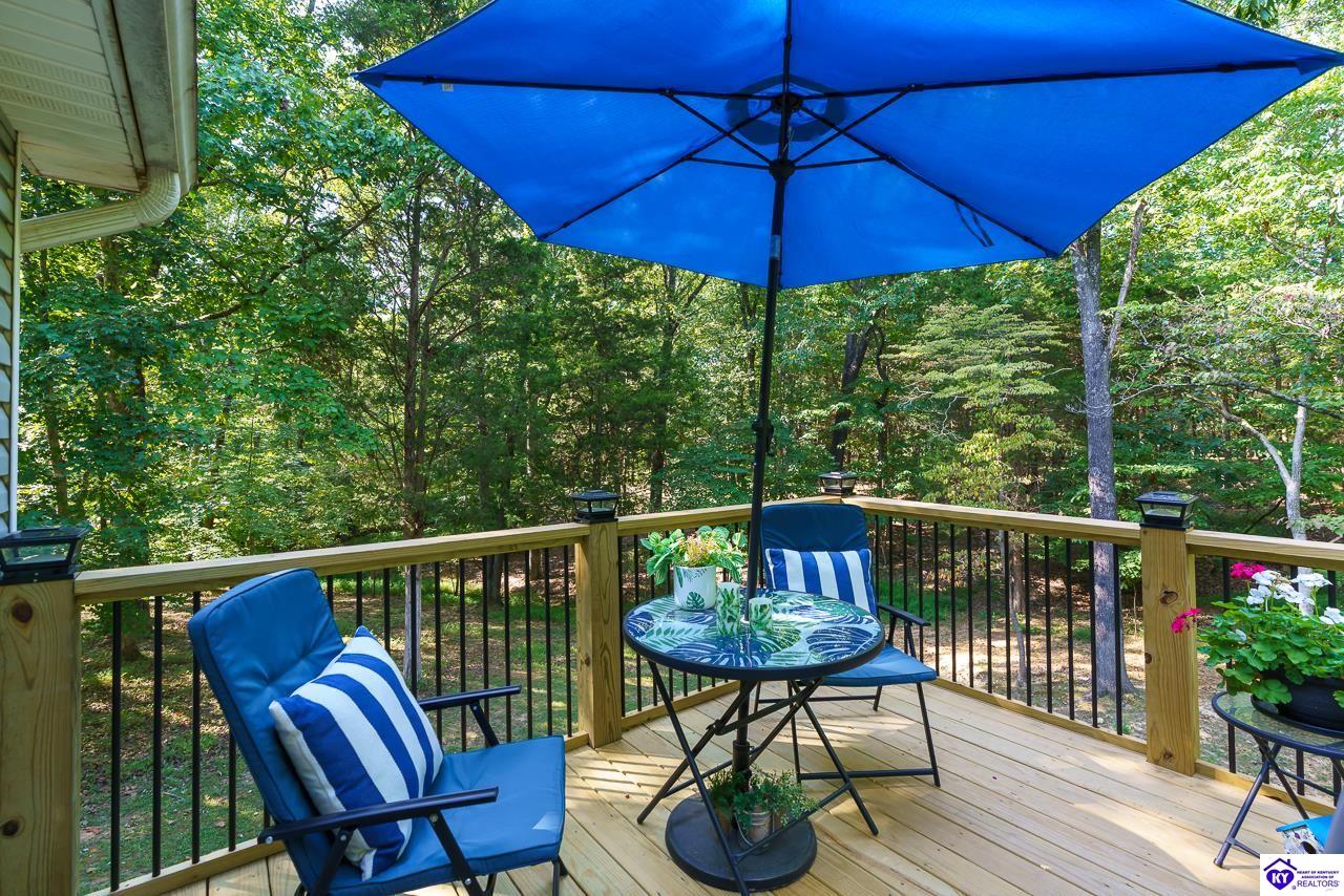 Listing Picture 34 Blackberry Court Brandenburg, KY 40108 MLS HK25004031