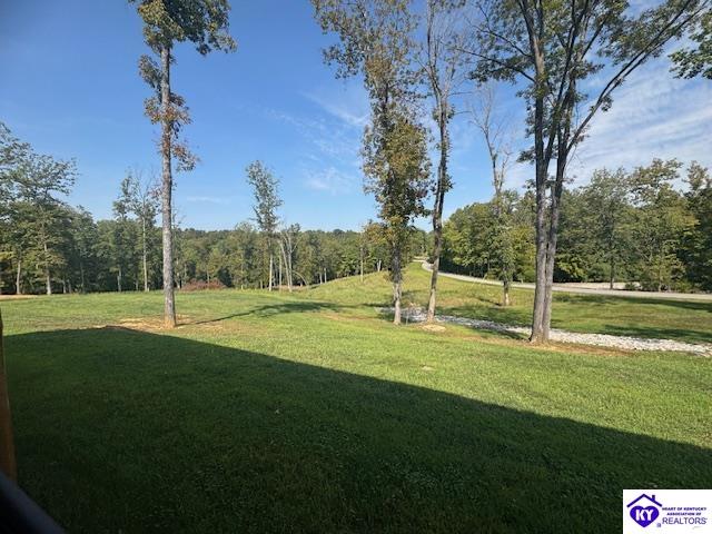 Listing Picture 60 Greenshores Circle Lane McDaniels, KY 40119 MLS HK25004046