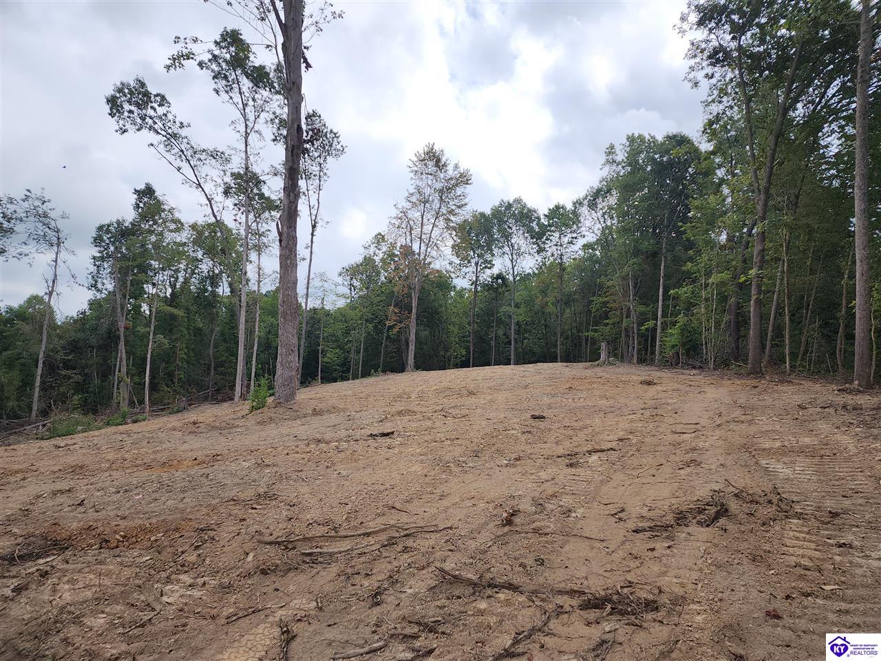 Lot 0 Leitchfield RoadCecilia, KY 42724