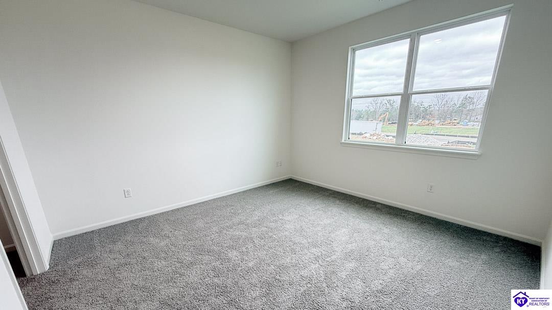 Listing Picture 213 Miles Pass Elizabethtown, KY 42701 MLS HK25004268