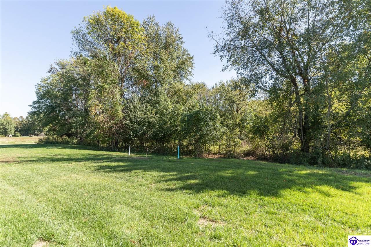 Listing Picture 114A Shirley Boulevard Vine Grove, KY 40175 MLS HK25004296