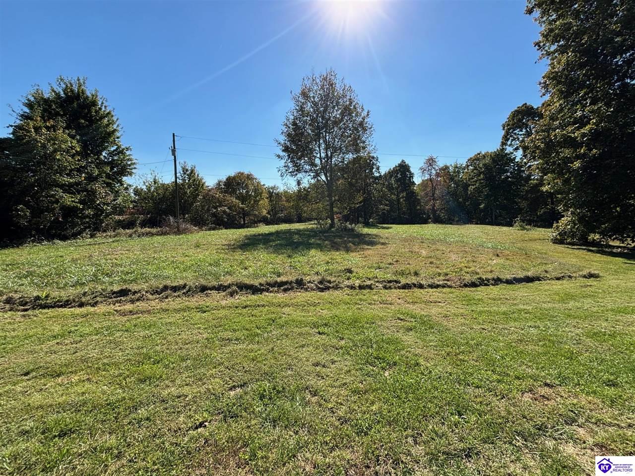 Listing Picture 5638 E Highway 60 Harned, KY 40144 MLS HK25004436