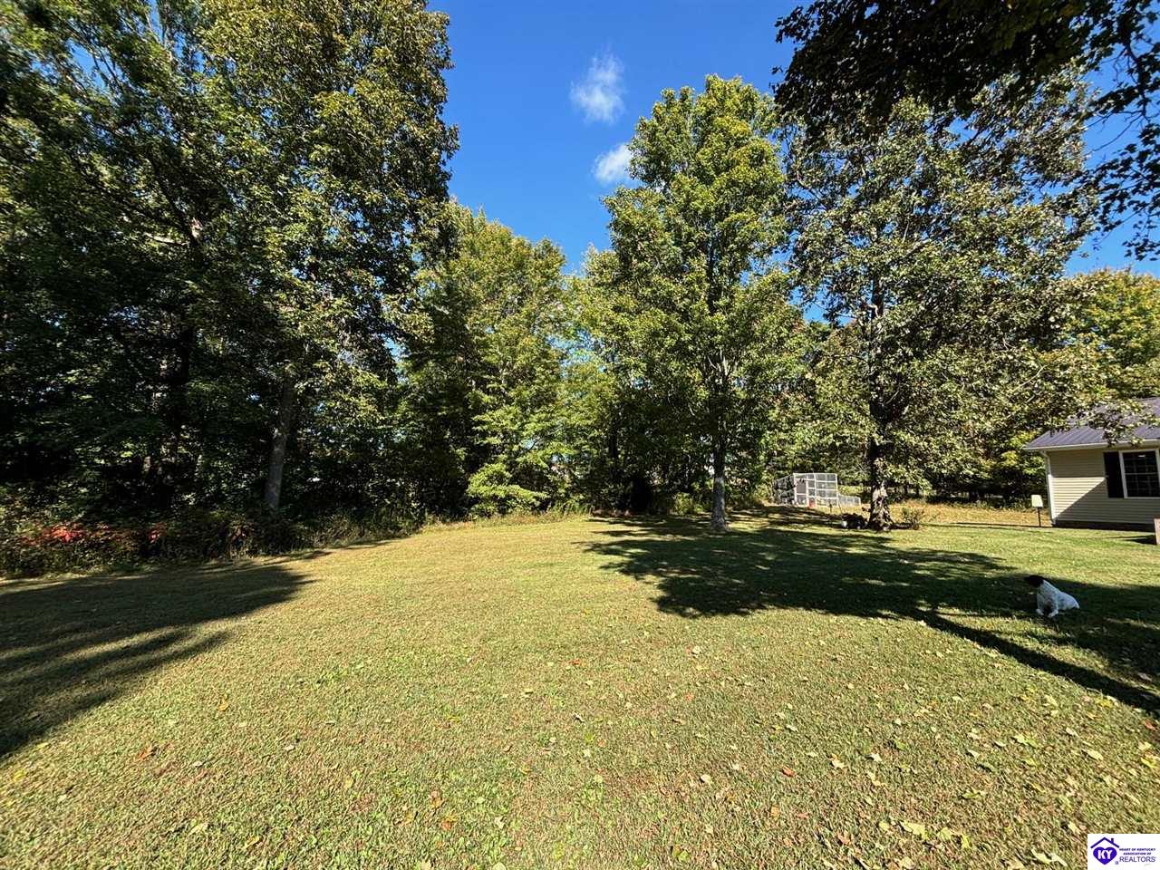 Listing Picture 5638 E Highway 60 Harned, KY 40144 MLS HK25004436