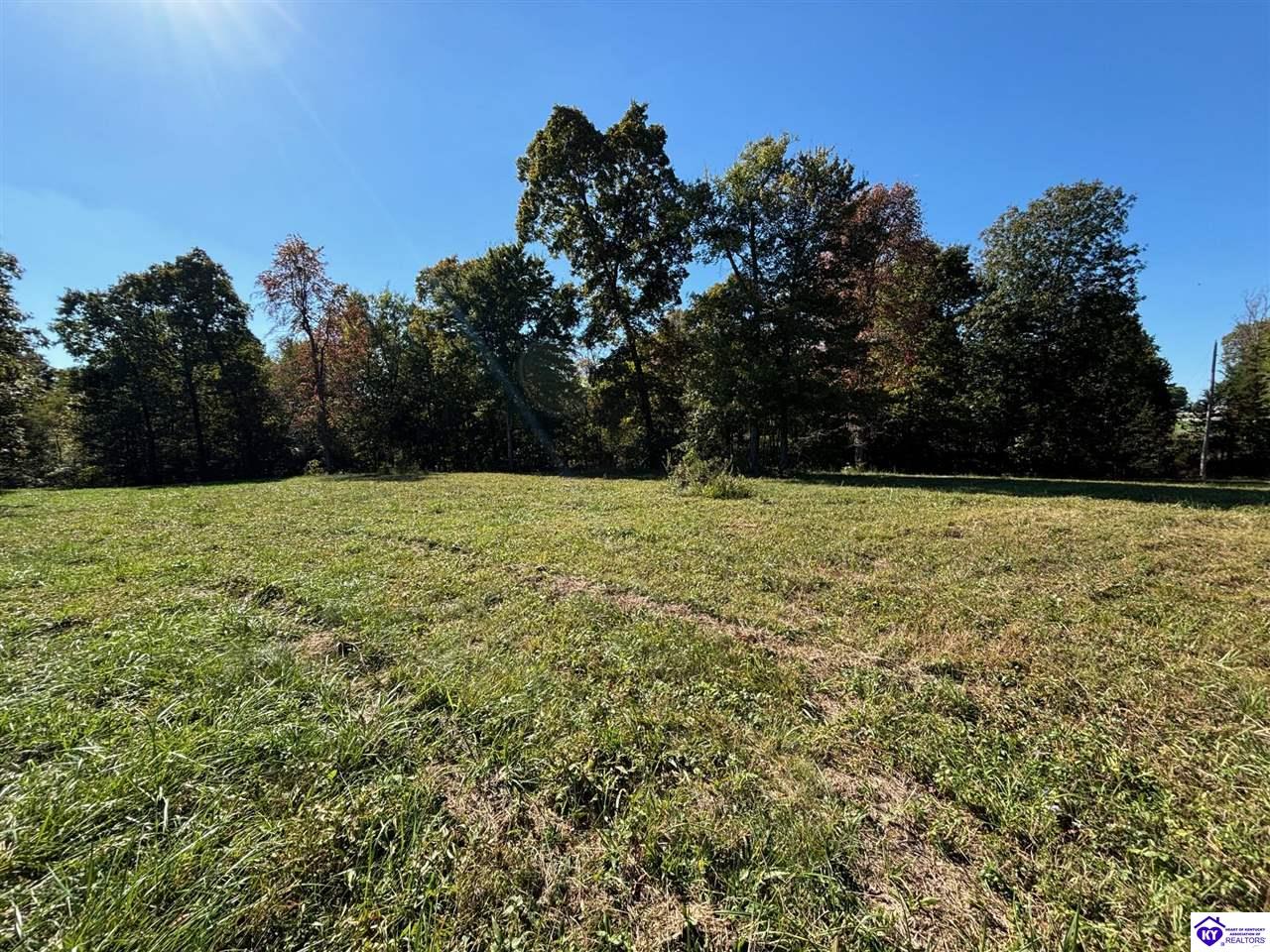Listing Picture 5638 E Highway 60 Harned, KY 40144 MLS HK25004436