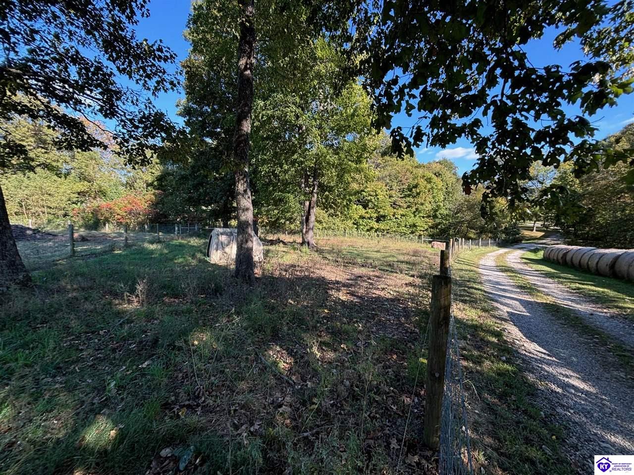 Listing Picture 5638 E Highway 60 Harned, KY 40144 MLS HK25004436
