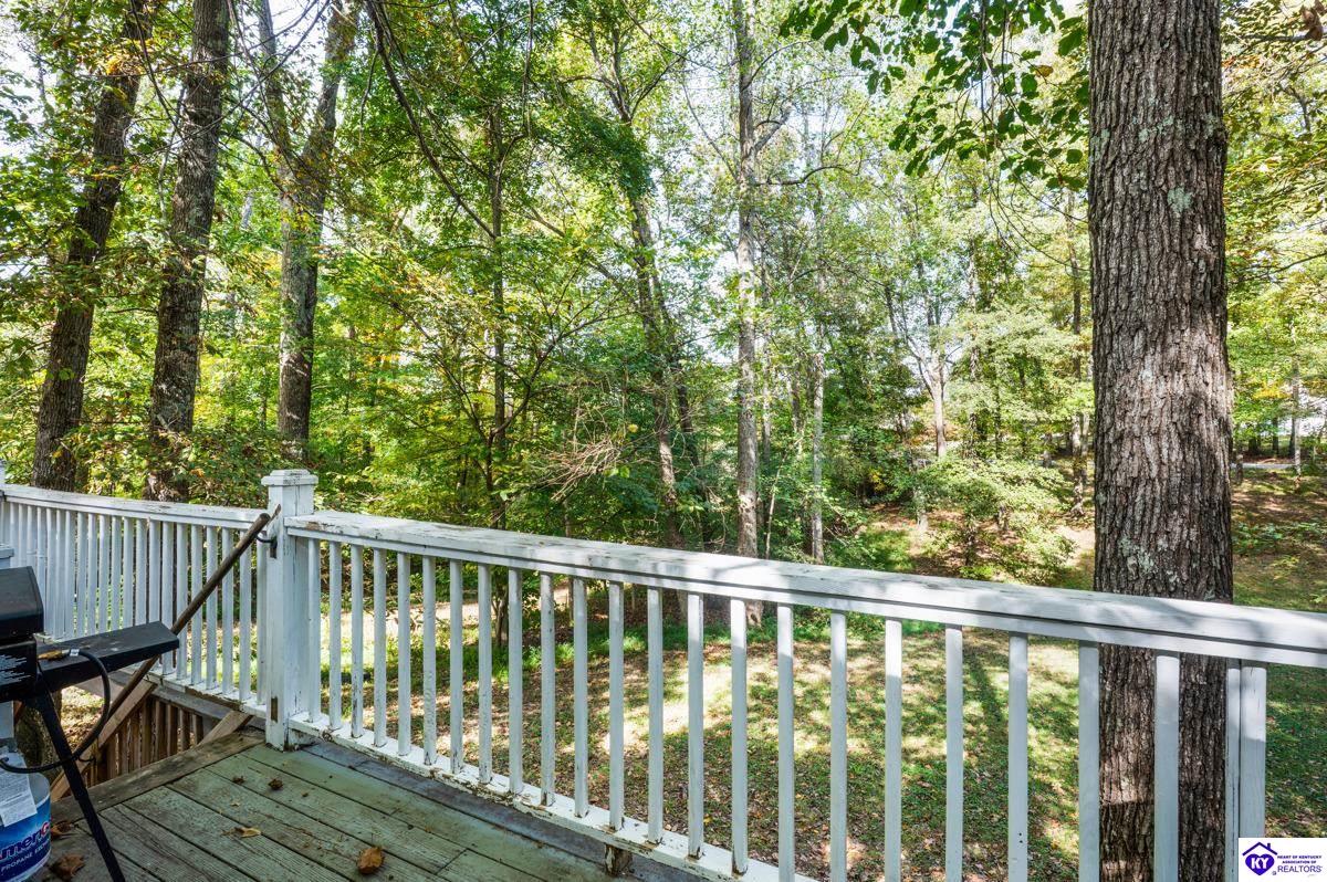 Listing Picture 16 Princess Court Elizabethtown, KY 42701 MLS HK25004473