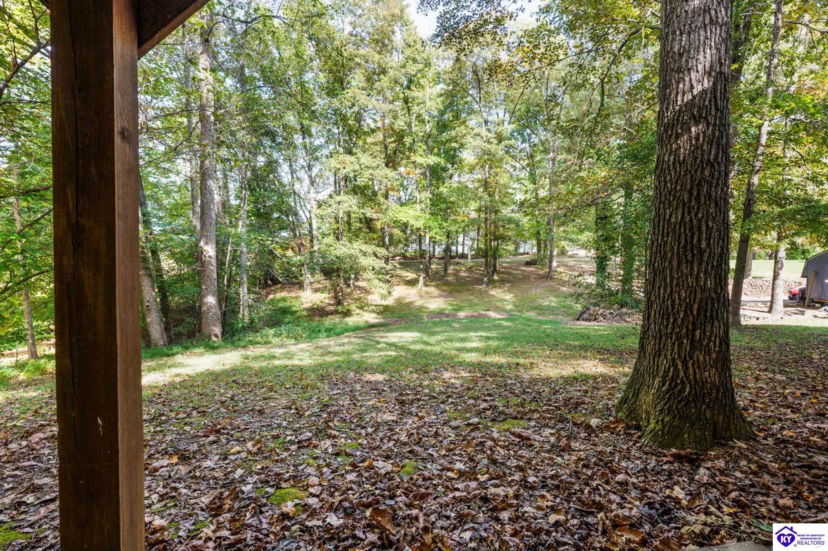 Listing Picture 16 Princess Court Elizabethtown, KY 42701 MLS HK25004473