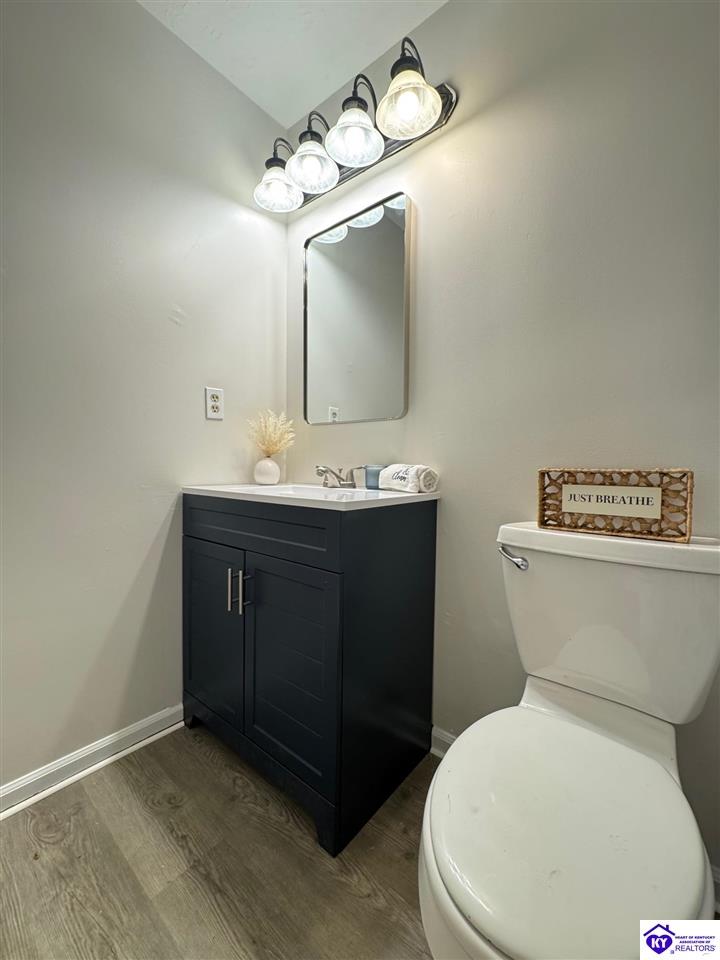 Listing Picture 45 Paula Court Ekron, KY 40108 MLS HK25004495