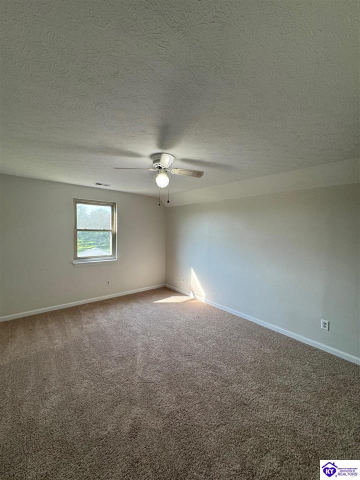 Listing Picture 45 Paula Court Ekron, KY 40108 MLS HK25004495