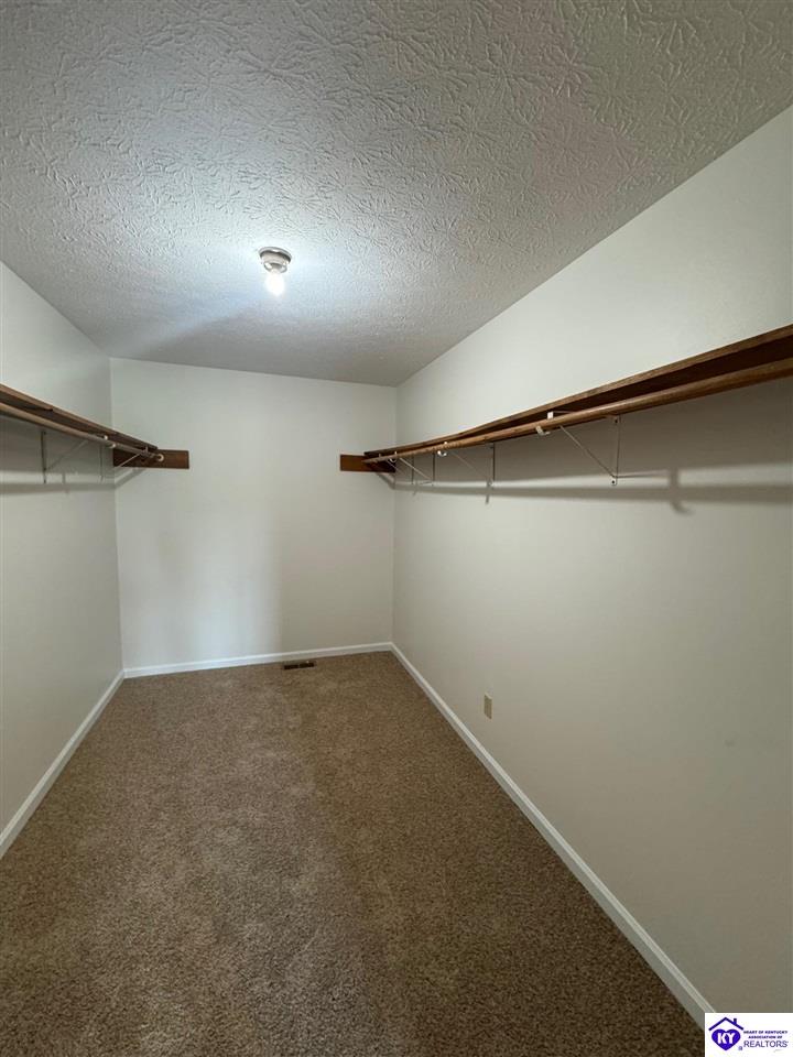 Listing Picture 45 Paula Court Ekron, KY 40108 MLS HK25004495