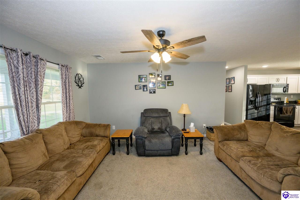 Listing Picture 19569 E Highway 144 Union Star, KY 40171 MLS HK25004535