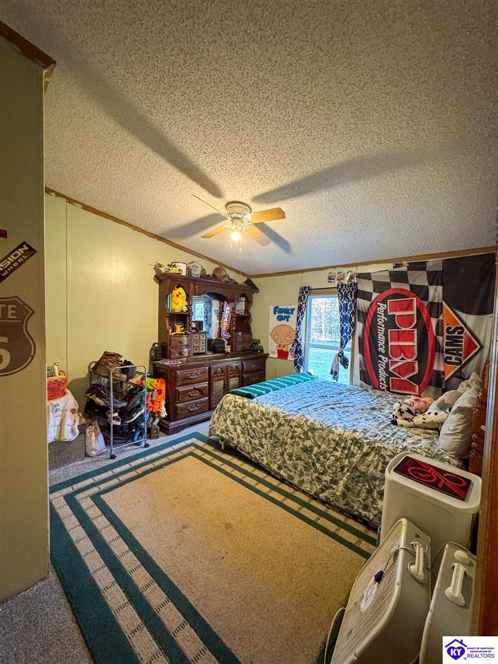 Listing Picture 305 Cedar Hill Road Hawesville, KY 42348 MLS HK25004554