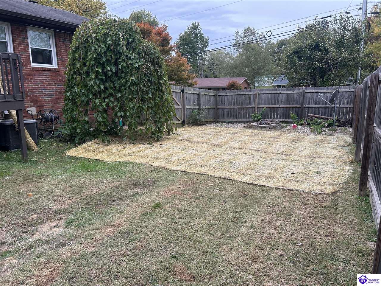 Listing Picture 101 Jackie Street Elizabethtown, KY 42701 MLS HK25004568