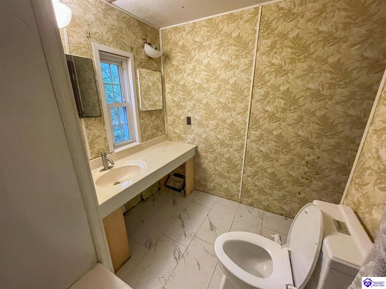 Listing Picture 110 Tomahawk Trail Rineyville, KY 40162 MLS HK25004584