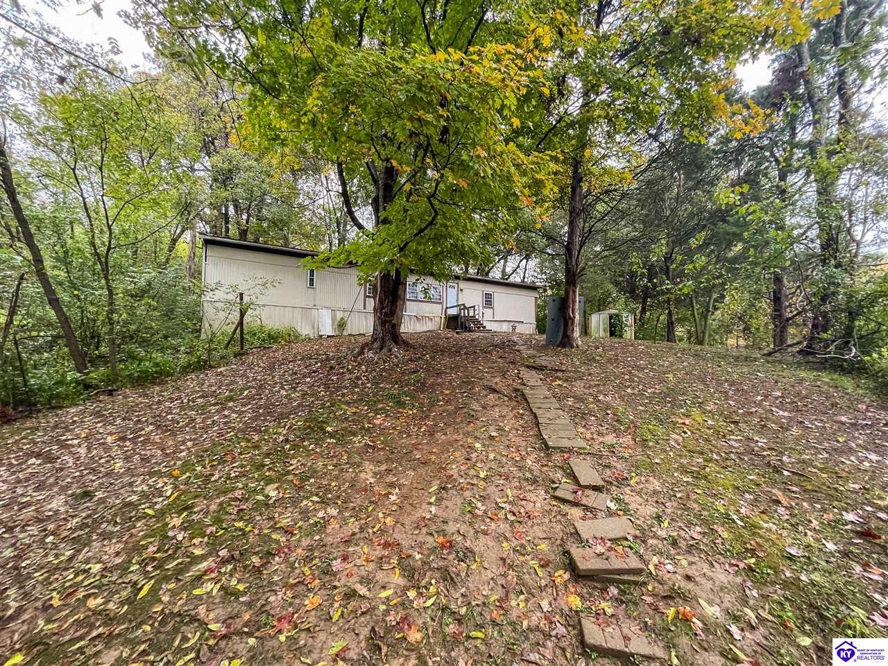 Listing Picture 110 Tomahawk Trail Rineyville, KY 40162 MLS HK25004584