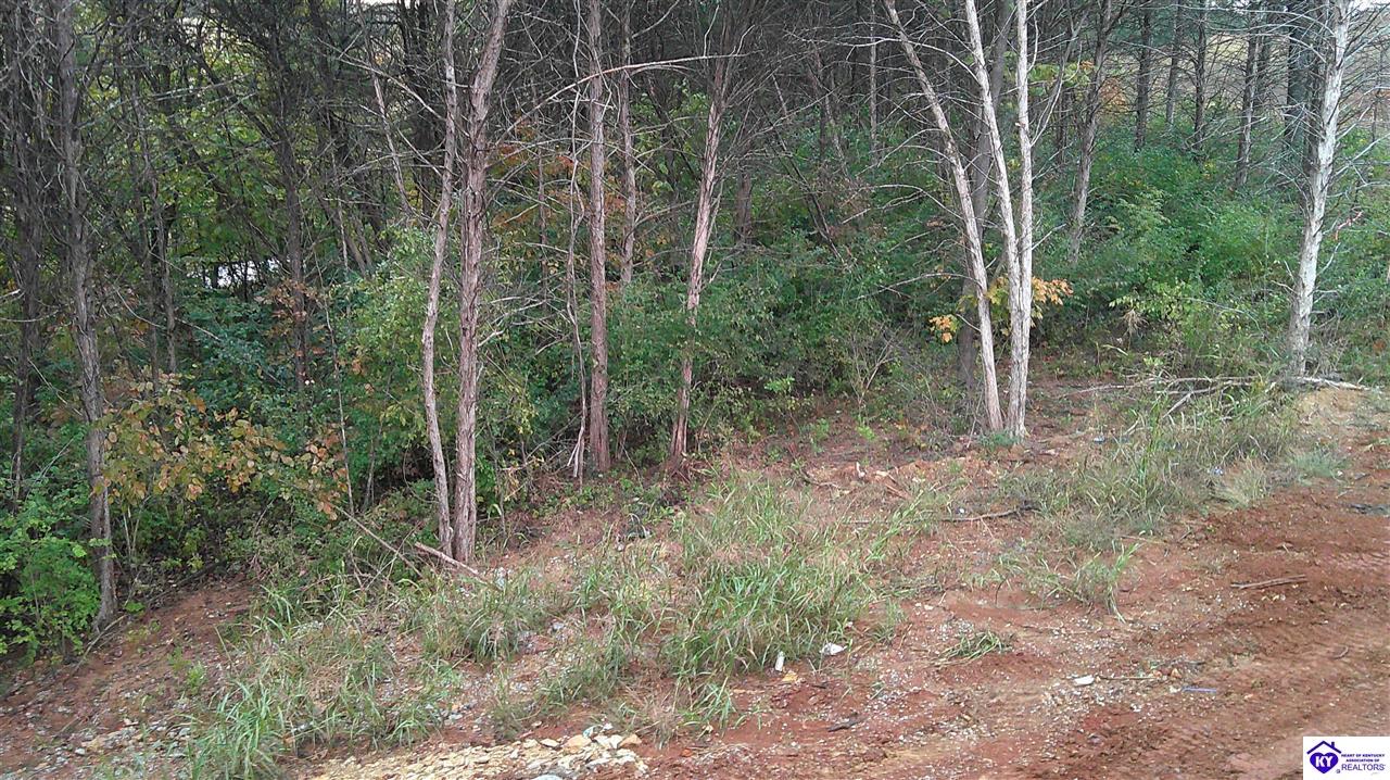 Listing Picture 602 Hillcreek Court Bardstown, KY 40004 MLS HK25004599