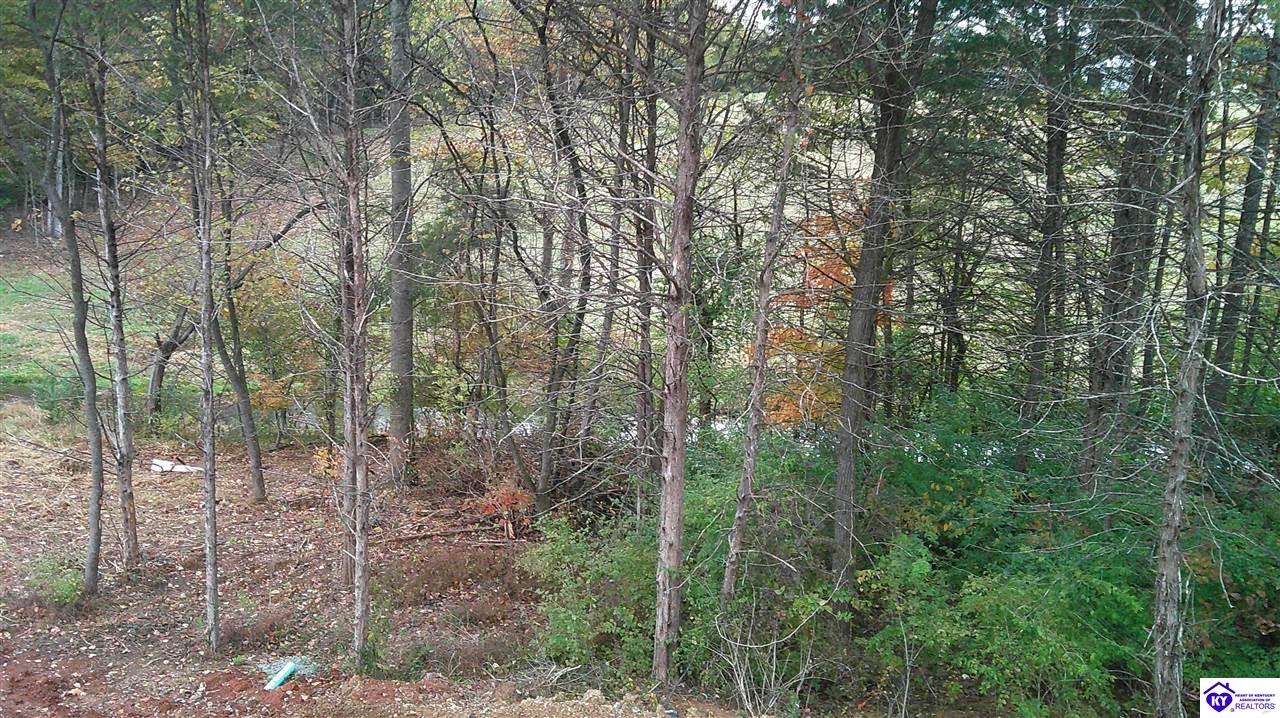 Listing Picture 602 Hillcreek Court Bardstown, KY 40004 MLS HK25004599