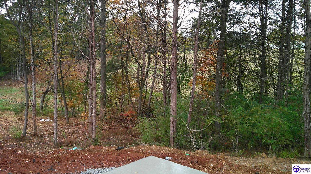 Listing Picture 602 Hillcreek Court Bardstown, KY 40004 MLS HK25004599
