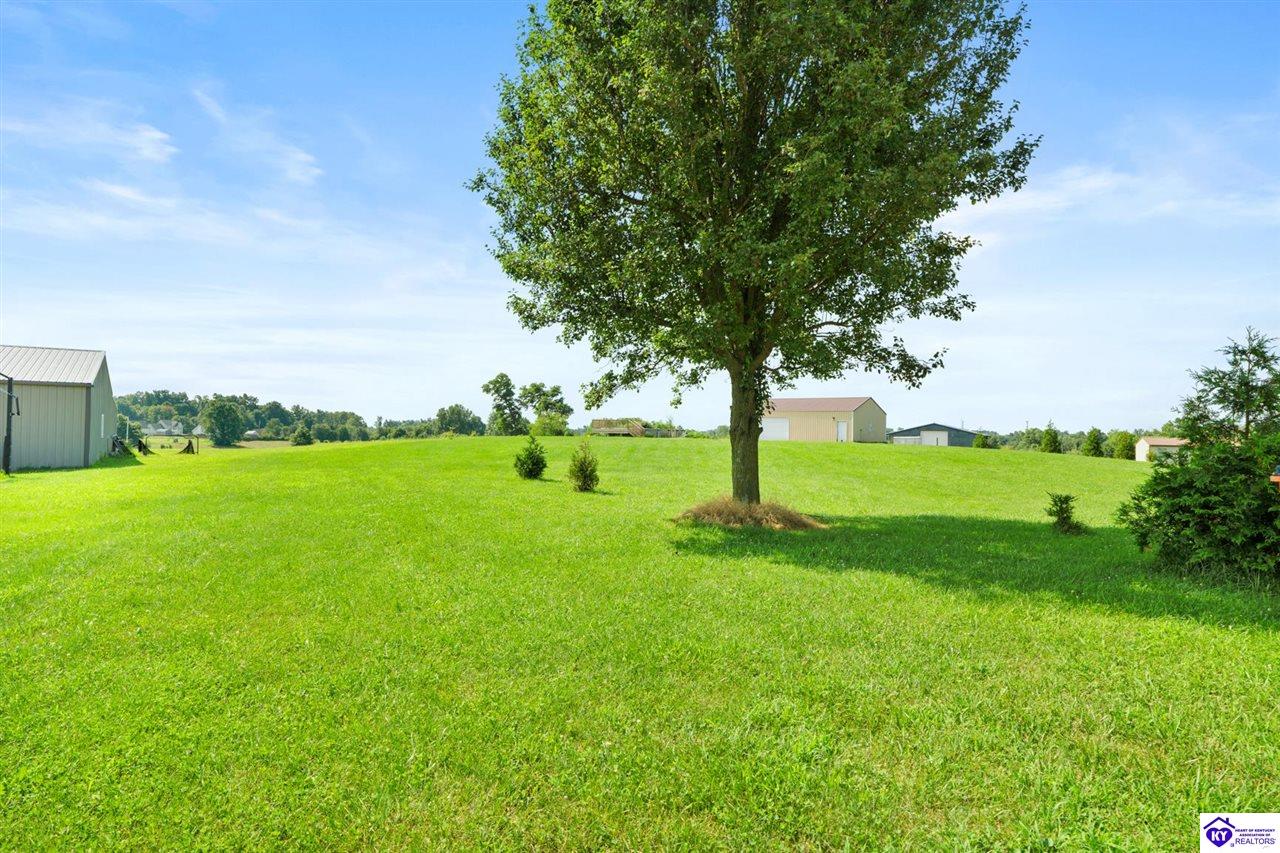 Listing Picture 57 Stirrup Court Rineyville, KY 40162 MLS HK25004606