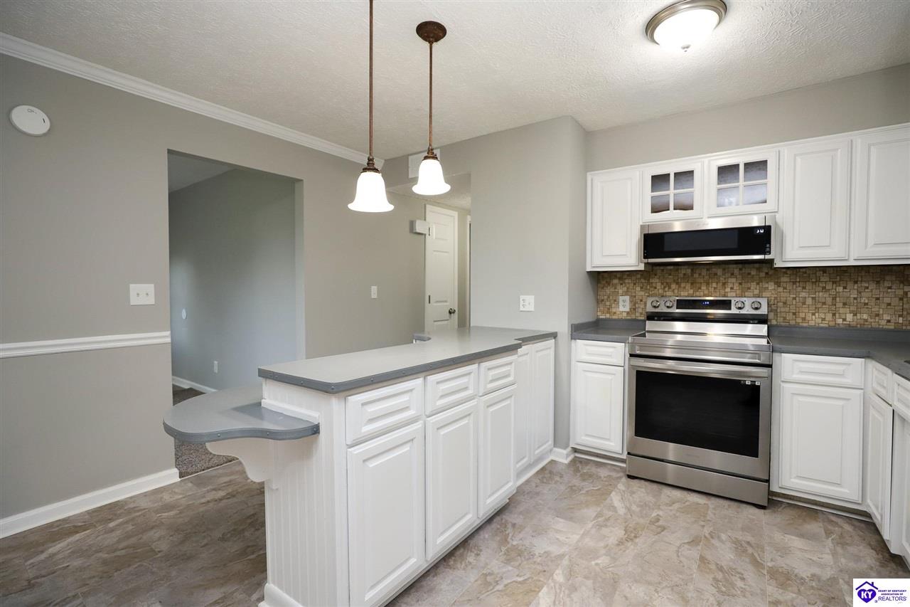 Listing Picture 113 E Tophill Terrace Elizabethtown, KY 42701 MLS HK25004698