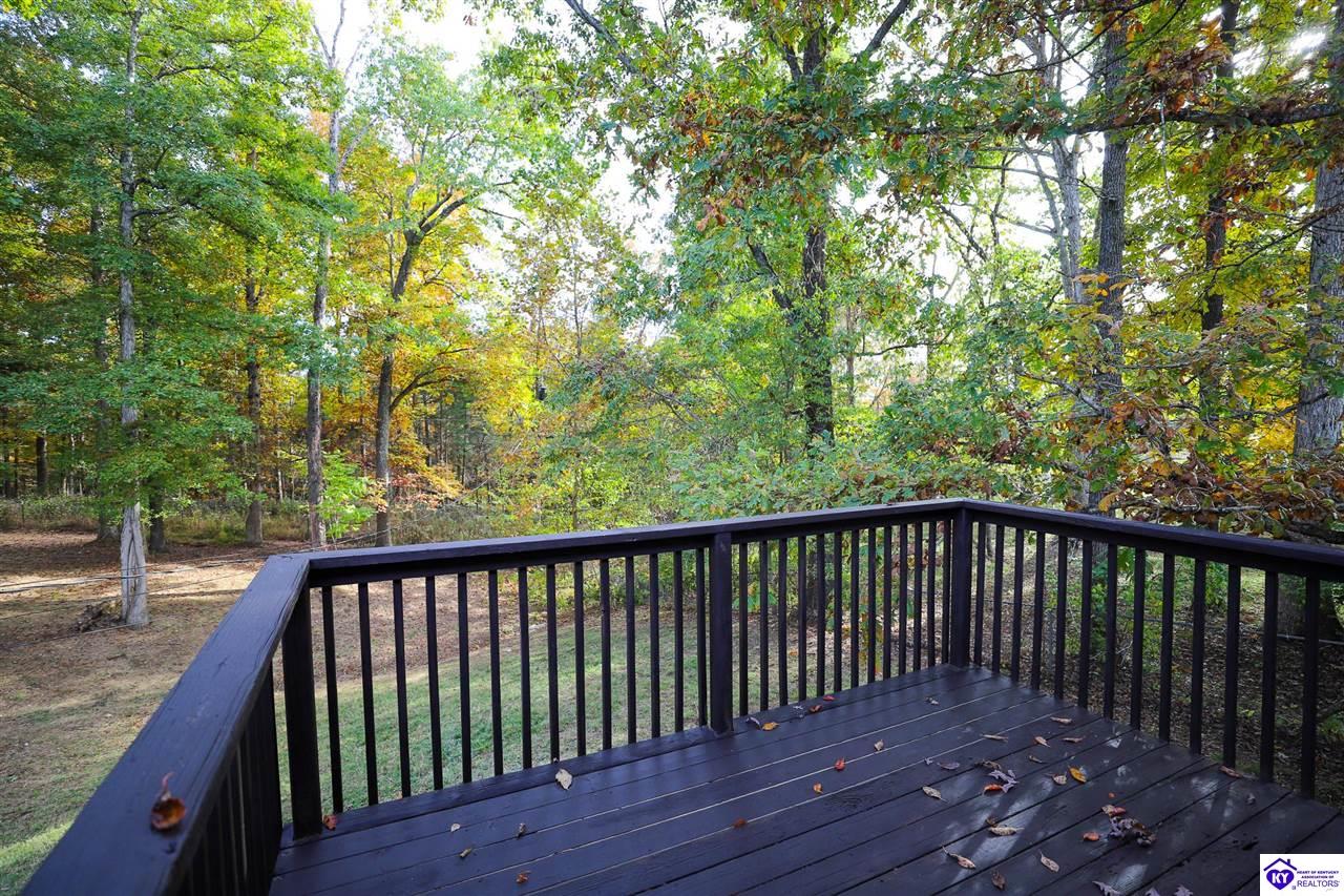 Listing Picture 113 E Tophill Terrace Elizabethtown, KY 42701 MLS HK25004698