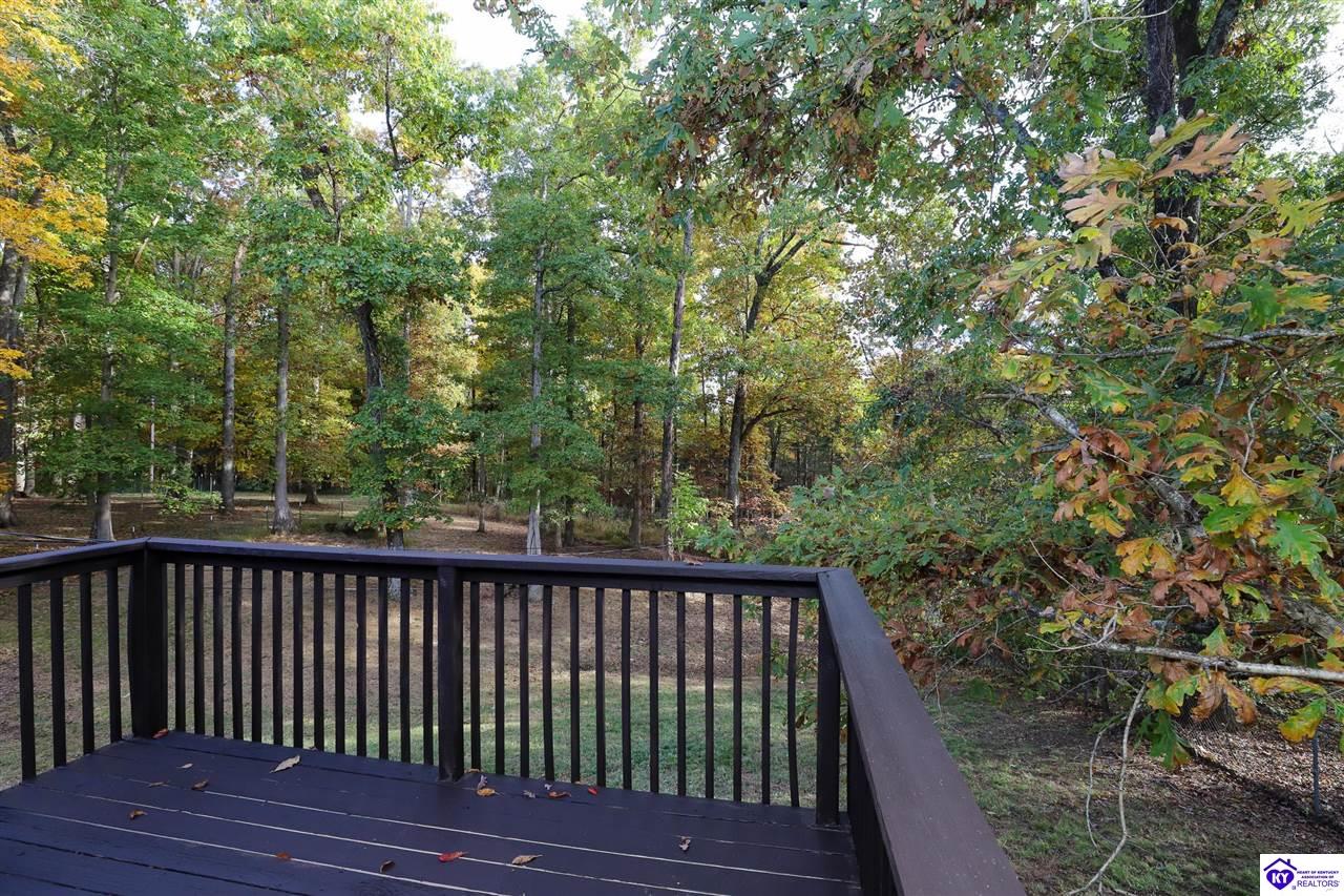 Listing Picture 113 E Tophill Terrace Elizabethtown, KY 42701 MLS HK25004698