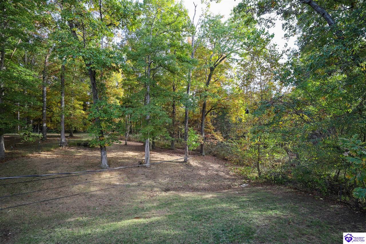 Listing Picture 113 E Tophill Terrace Elizabethtown, KY 42701 MLS HK25004698