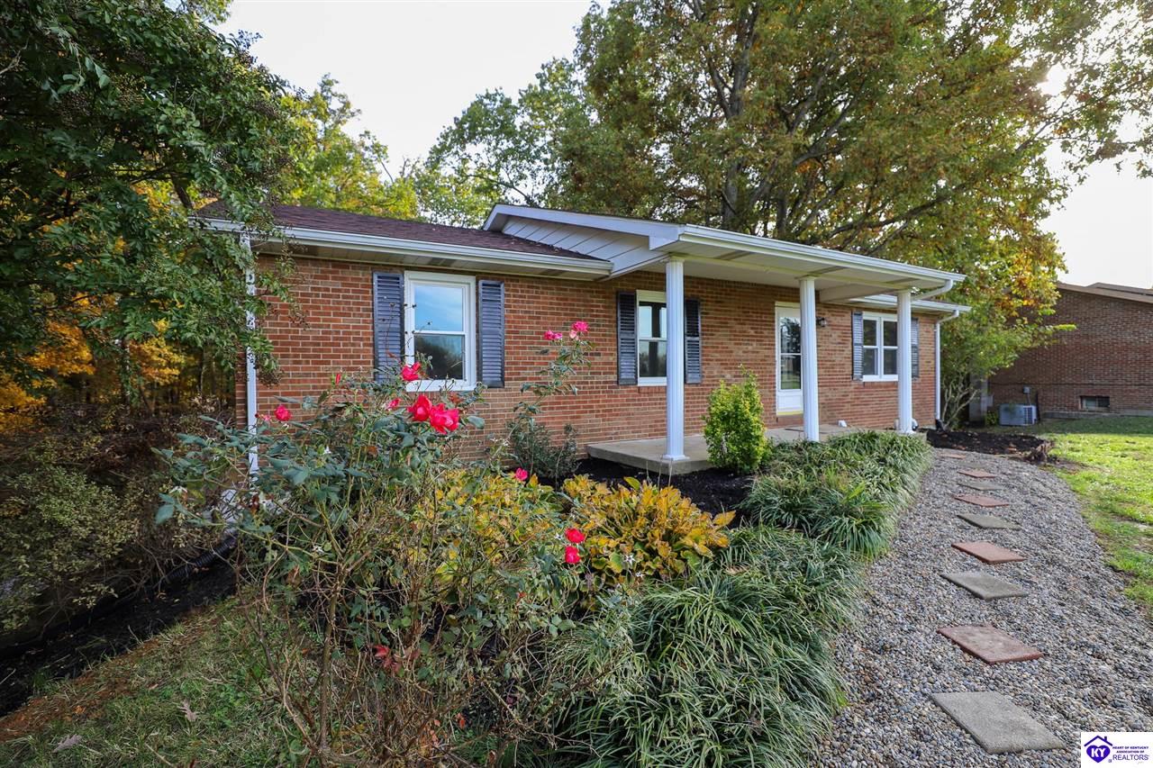 Listing Picture 113 E Tophill Terrace Elizabethtown, KY 42701 MLS HK25004698