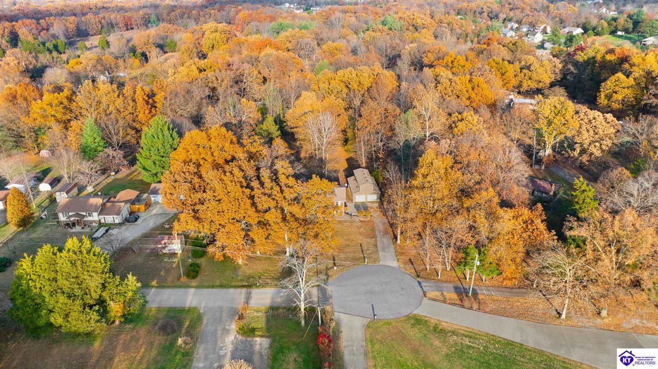 Listing Picture 929 Hickory Drive Vine Grove, KY 40175 MLS HK25004733