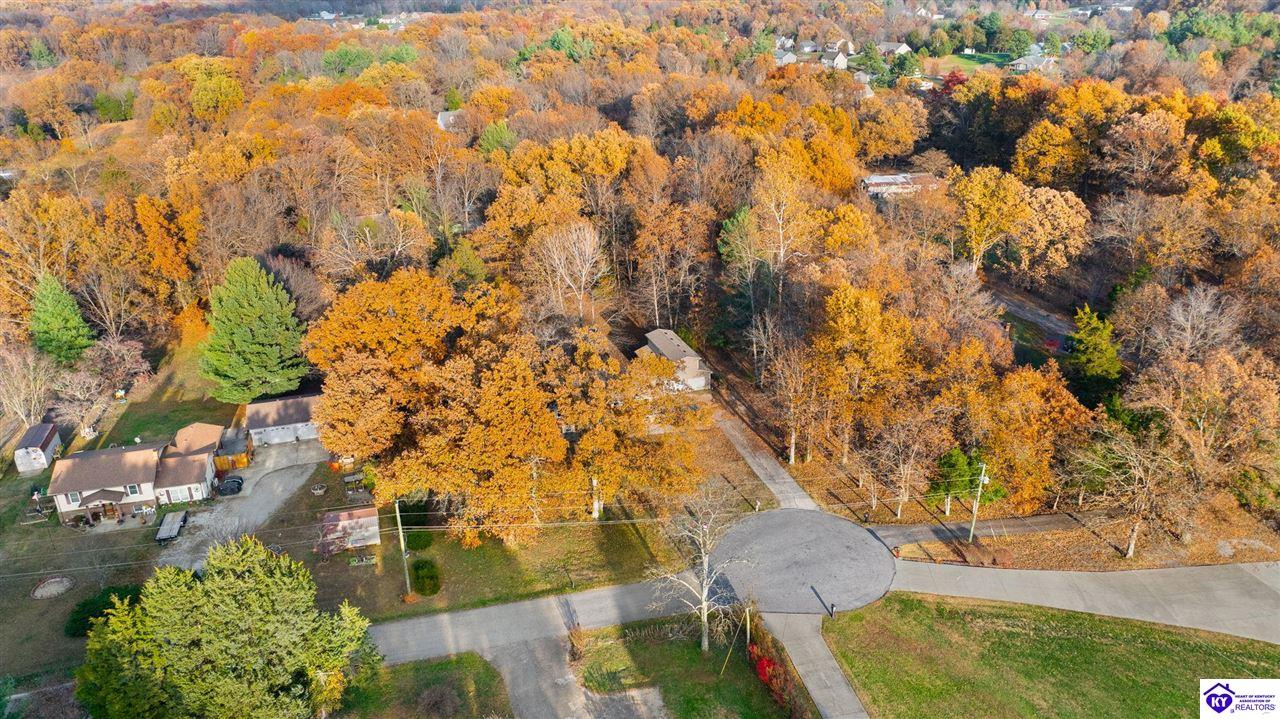 Listing Picture 929 Hickory Drive Vine Grove, KY 40175 MLS HK25004733