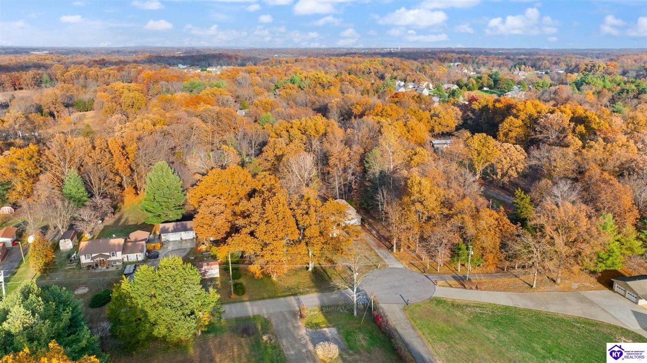 Listing Picture 929 Hickory Drive Vine Grove, KY 40175 MLS HK25004733